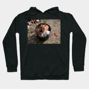 Two Cats in Garden Tub Hoodie